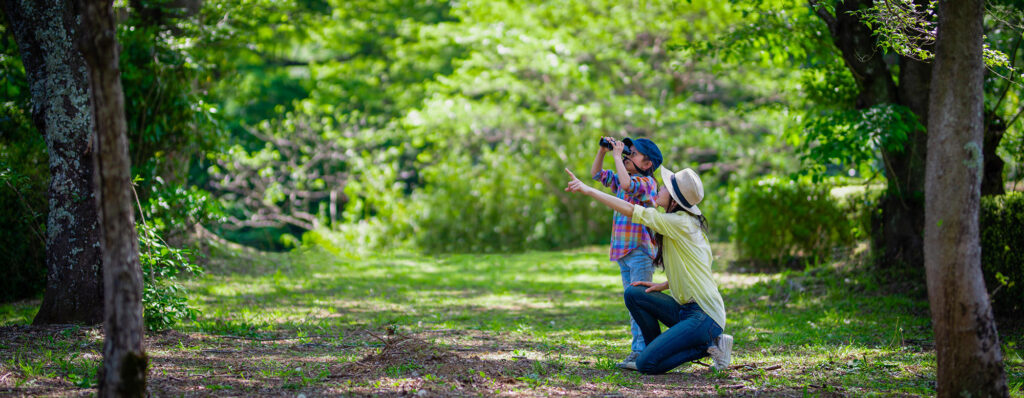 about mother,and,daughter,playing,with,binoculars,in,the,woods